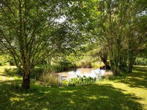 Maisons de vacances Holiday Home in Dordogne Wine Estate with Garden : photos des chambres