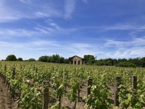 Maisons de vacances Holiday Home in Dordogne Wine Estate with Garden : photos des chambres