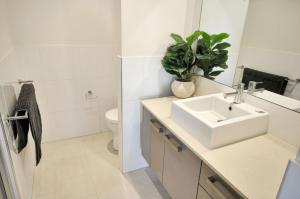 Elated Edgar 2x1 Close to CBD