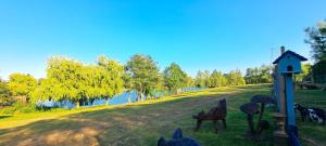 Lakeview Petting Pod