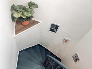 Duplex, hyper-central - piscine privée - garage