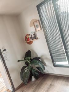 Maisons de vacances Duplex, hyper-central - piscine privee - garage : photos des chambres