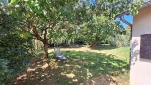 Maisons de vacances Gite du Grand Chene : photos des chambres