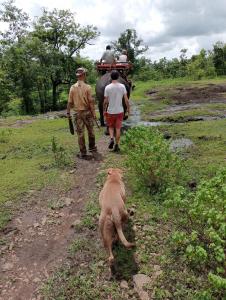 Sona Trekking tour-homestay