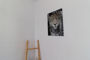 Appartements Le panorama - Breathtaking View of the City Center : photos des chambres