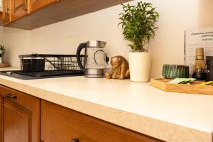 Apartament Kraków - Cracow Apartment 70m2