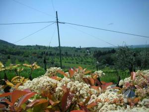 Casa Vacanze con 3 Camere da Letto