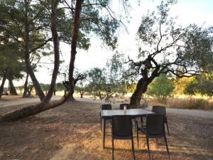 Appartements Apartment with pool amid vineyards and near the beach : photos des chambres