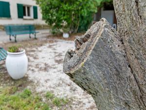 Appartements Apartment with pool amid vineyards and near the beach : photos des chambres