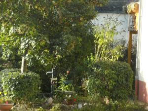 Charming Apartment in Morbach Germany with Terrace