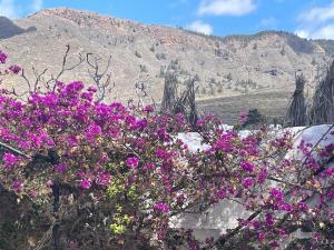 Tierrazul Art Boutique White Nordic Suite