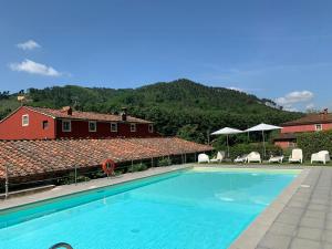 Rustic Loft Among Vineyards And Olive Groves In Tuscany