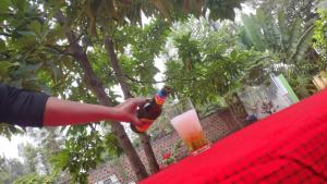 Hill Park Lodge Moshi