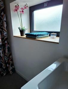 Maisons de vacances Le petit resineux : photos des chambres