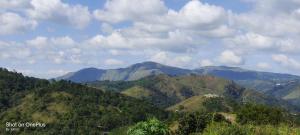 Skylark Homestay Panchalimedu