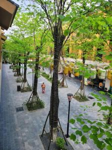 Wyndham Lynn Times Thanh Thủy Onsen Sweet Home