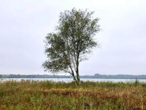 6 person holiday home in Ansager