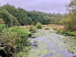 6 person holiday home in Ansager