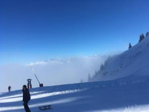 Newly renovated apartment in Verchaix Morillon