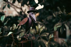 La Dimora di Pietra - Madonie Suite & Garden