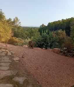 Maisons d'hotes Casa AMMIRATI FLAYOSC Appartement : photos des chambres