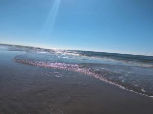 8 person holiday home in Blåvand