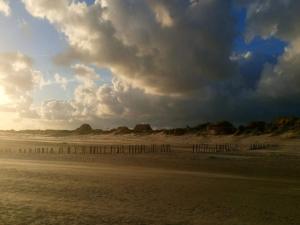 8 person holiday home in Blåvand