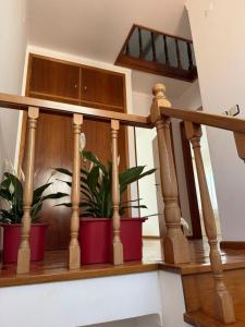 Cool Cats beach house