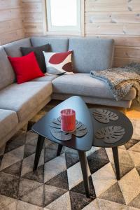 Taruilevi Visit Levi