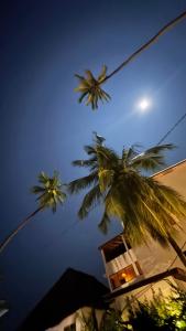 Tangawizi Lodge Zanzibar - Adults Only