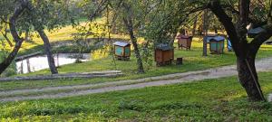 Siedlisko nad stawem