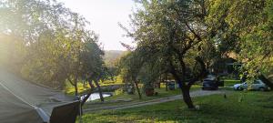 Siedlisko nad stawem