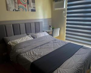 Sky Pad Avida Abreeza Davao