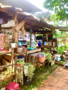 Homestay Đồi Sương Trắng
