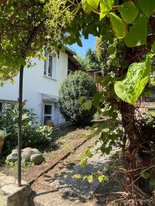 Ferienwohnung Utes Stube