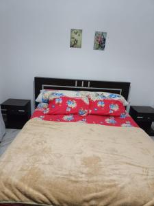 مدينتي شقه مفروشه