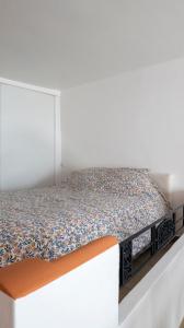 Appartements Duplex en centre ville avec un Garage prive : photos des chambres