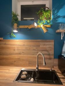 Maisons de vacances Petite maison a cote de Beauval & Chateaux : photos des chambres