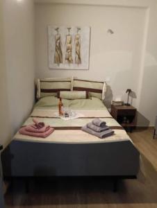 Apartment in the heart of the city