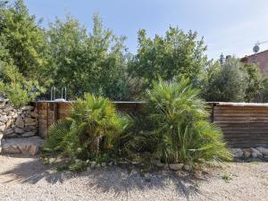 Maisons de vacances Holiday Home in Brignoles with Private Pool : photos des chambres