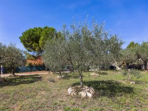Maisons de vacances Holiday Home in Brignoles with Private Pool : photos des chambres