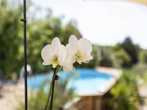 Maisons de vacances Holiday Home in Brignoles with Private Pool : Maison de Vacances 2 Chambres