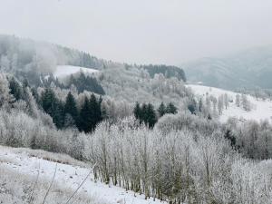 Privatzimmer Haus Holzmann am Gmundnerberg