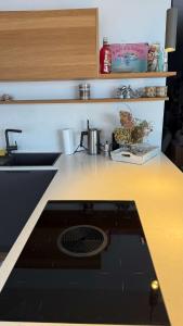 Spacious apartment with lake view and garden