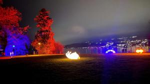 Spacious apartment with lake view and garden