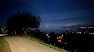 Spacious apartment with lake view and garden