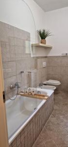 Luccas Green Gem Home