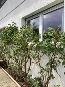 Appartement Havre de Paix