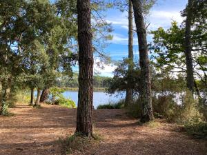 Villas Les Chenes Lieges grande villa avec piscine : photos des chambres