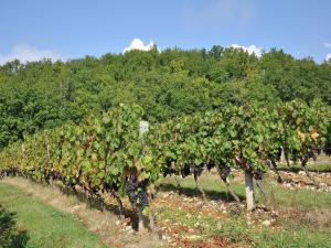 Villas Villa in Malaucene with Heated Pool : photos des chambres